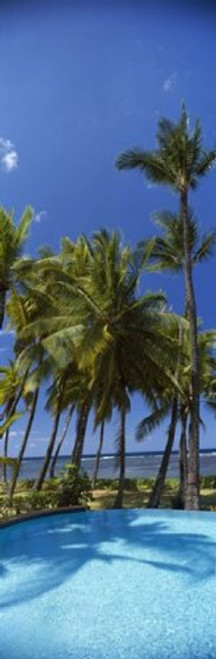 Posterazzi PPI127278S Palm trees near a swimming pool Maui Hawaii USA Poster Print, 18 x 6