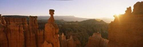 Rock formations in a canyon Thors Hammer Bryce Canyon National Park Utah USA Poster Print (18 x 6) Rock formations in a canyon Thors Hammer Bryce Canyon National Park Utah USA Poster Print (18 x 6)