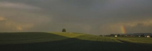 Posterazzi Storm clouds over a field Canton Of Zurich Switzerland Poster Print, (18 x 6)