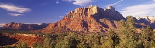 Canyon surrounded with forest Escalante Canyon Zion National Park Washington County Utah USA Poster Print (18 x 6)