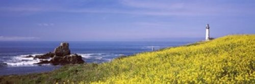 Posterazzi coast Pigeon Point Lighthouse San Mateo County California USA Poster Print, (18 x 6)