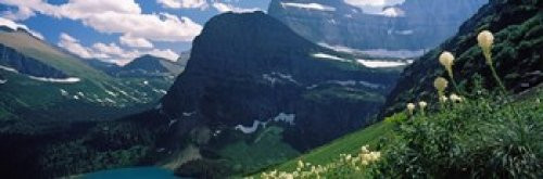 Posterazzi PPI147038S Beargrass (Xerophyllum tenax) with mountains in the background US Glacier National Park Montana USA Poster Print, 18 x 6 Posterazzi PPI147038S Beargrass (Xerophyllum tenax) with mountains in the background US Glacier National Park Montana USA Poster Print, 18 x 6