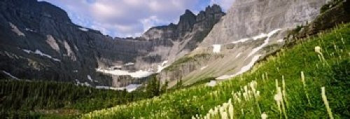 Posterazzi Beargrass (Xerophyllum tenax) with mountains in the background US Glacier National Park Montana USA Poster Print, (18 x 7) Posterazzi Beargrass (Xerophyllum tenax) with mountains in the background US Glacier National Park Montana USA Poster Print, (18 x 7)
