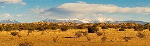 High desert plains landscape with snowcapped Sangre de Cristo Mountains in the background New Mexico USA Poster Print (18 x 6)