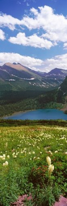 Posterazzi PPI147057S Beargrass (Xerophyllum tenax) with Grinnell Lake in the background US Glacier National Park Montana USA Poster Print, 18 x 6 Posterazzi PPI147057S Beargrass (Xerophyllum tenax) with Grinnell Lake in the background US Glacier National Park Montana USA Poster Print, 18 x 6