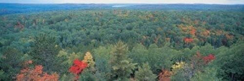 Posterazzi Ontario Canada Poster Print, (18 x 6)