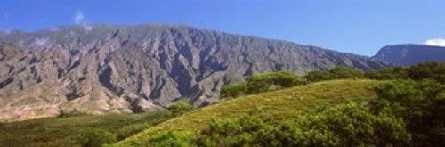 Posterazzi Trees on a hill near Haleakala Crater Maui Hawaii USA Poster Print, (18 x 6)
