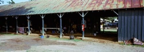 Posterazzi Paddock Racecourse Saratoga Springs New York State USA Poster Print, (18 x 7)