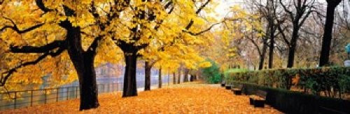 Park Bavaria Munich Germany Poster Print (18 x 6)