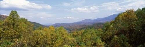 Posterazzi View from River Road Smoky Mountains National Park North Carolina Tennessee USA Poster Print, (18 x 6) Posterazzi View from River Road Smoky Mountains National Park North Carolina Tennessee USA Poster Print, (18 x 6)