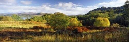 Posterazzi Autumn trees at Loch Carron Ardnarff Highlands Region Scotland Poster Print, (18 x 6) Posterazzi Autumn trees at Loch Carron Ardnarff Highlands Region Scotland Poster Print, (18 x 6)