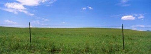 Posterazzi Barbed Wire fence in a field San Rafael Valley Arizona USA Poster Print, (18 x 7)