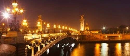 Posterazzi Bridge Across Night Pont Alexandre III Seine River Paris ILE-De France Poster Print, (30 x 13), Varies
