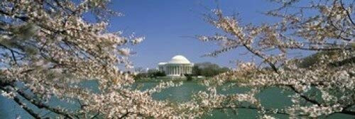 Posterazzi Cherry blossom background Jefferson Memorial Tidal Basin Washington DC USA Poster Print, (18 x 6)