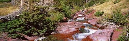 Posterazzi Low Angle View Baring Creek US Glacier National Park Montana USA Poster Print, (18 x 6), Varies Posterazzi Low Angle View Baring Creek US Glacier National Park Montana USA Poster Print, (18 x 6), Varies