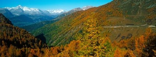 Posterazzi Trees with road in autumn at Simplon Pass Valais Canton Switzerland Poster Print, (18 x 7)