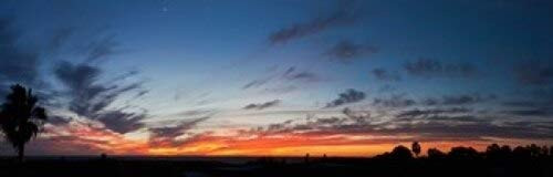 Posterazzi Silhouette of trees at sunset Todos Santos Baja California Mexico Poster Print, (18 x 6)