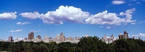 Posterazzi PPI78703S Trees Central Park Manhattan City New York State USA Poster Print, 18 x 7 Posterazzi PPI78703S Trees Central Park Manhattan City New York State USA Poster Print, 18 x 7