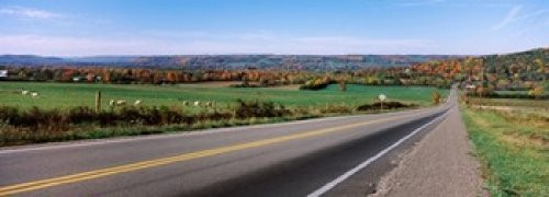 Posterazzi Road passing through a field Finger Lakes New York State USA Poster Print, (18 x 7) Posterazzi Road passing through a field Finger Lakes New York State USA Poster Print, (18 x 7)