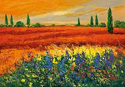 Posterazzi Toskana III Poster Print by Madjid, (10 x 14)