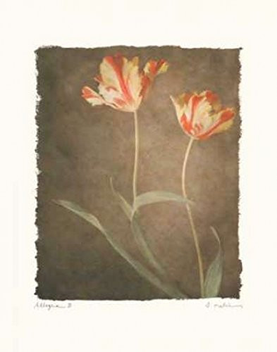 Posterazzi Allegria III Poster Print by Amy Melious, (11 x 14)