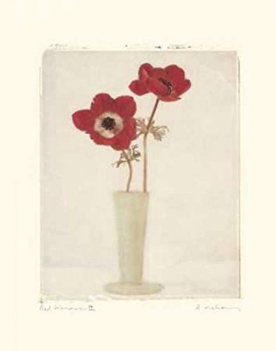 Posterazzi Red Anemones II Poster Print by Amy Melious, (11 x 14)