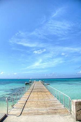 Posterazzi Grand Turk III Poster Print by George Johnson, (10 x 14)