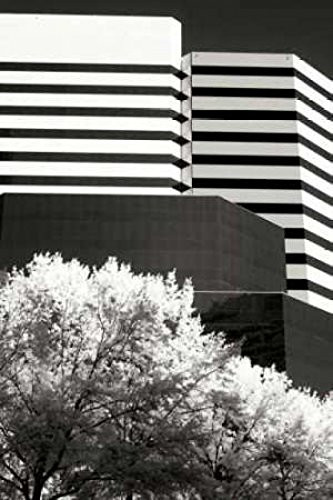 Posterazzi Geometric III Poster Print by Alan Hausenflock, (10 x 14)