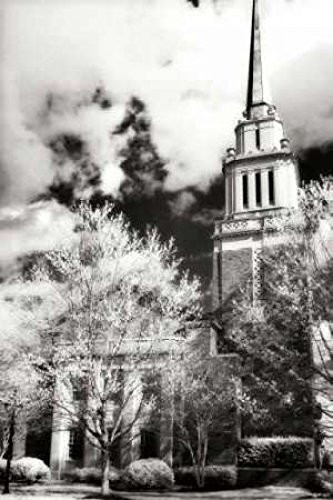 Posterazzi Renewal III Poster Print by Alan Hausenflock, (10 x 14)