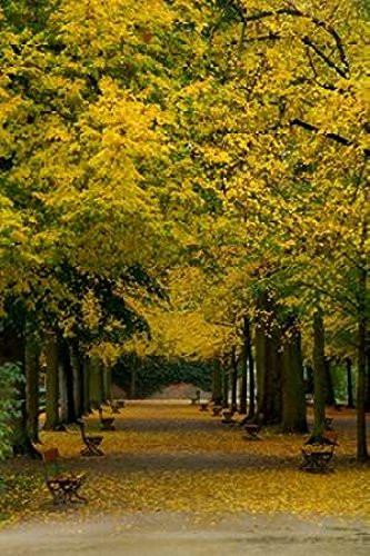 Posterazzi Wurzburg III Poster Print by George Johnson, (10 x 14)