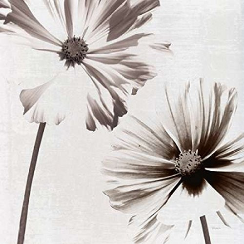 Posterazzi Takes Two III Poster Print by Katrina Craven, (24 x 24)