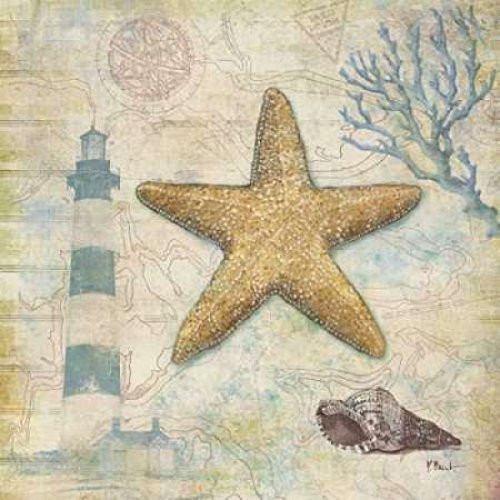 Posterazzi Discovery Shell III Poster Print by Paul Brent, (24 x 24)