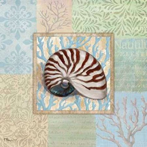 Oceanic Shell Collage III Poster Print by Paul Brent (24 x 24)