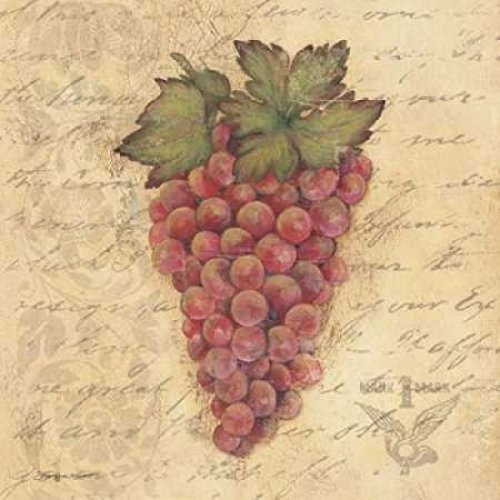 Posterazzi Grapes III Poster Print by Stephanie Marrott, (24 x 24)