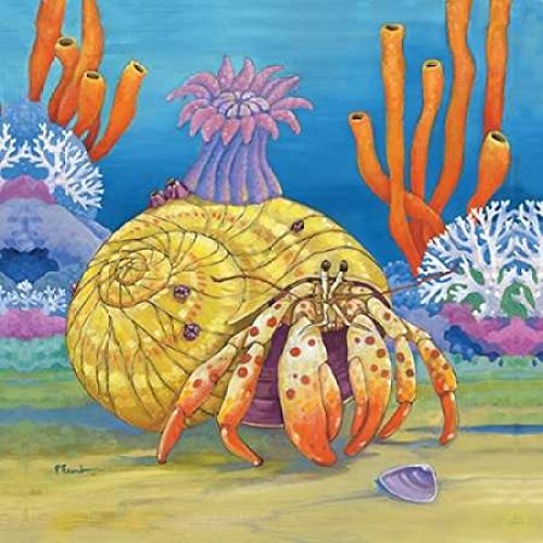 Posterazzi Under the Sea III Poster Print by Paul Brent, (12 x 12)