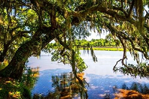 Posterazzi Ashley River Bank III Poster Print by Alan Hausenflock, (10 x 14)