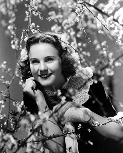 Three Smart Girls Grow Up Deanna Durbin 1939 Photo Print (16 x 20)
