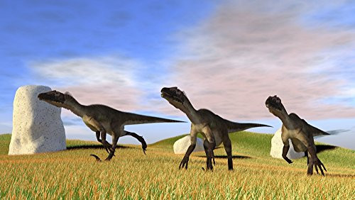 Posterazzi PSTKVA600678P Three Utahraptors running across a grassy field Poster Print, 18 x 10