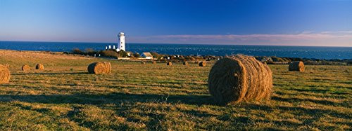 Posterazzi PPI150698S Coast Lighthouse Portland Bill Dorset England Poster Print, 27 x 9