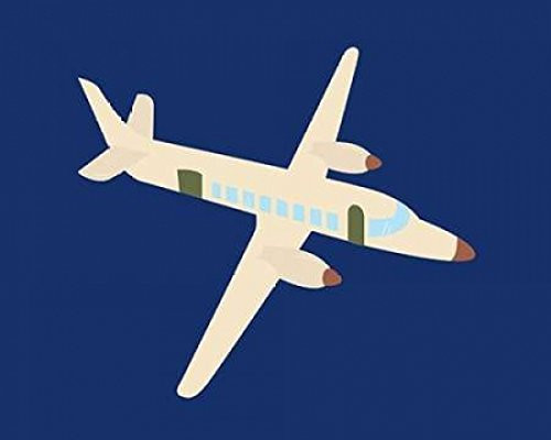 Posterazzi Plane VII Poster Print by Tamara Robinson, (8 x 10)
