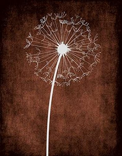 Posterazzi Dandelion on Brown III Poster Print by Tamara Robinson, (11 x 14)