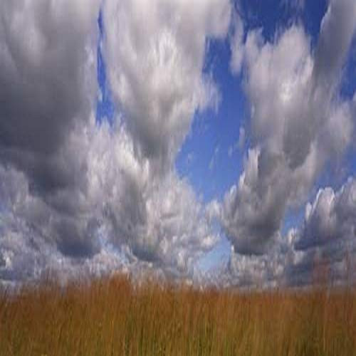 Posterazzi Clouds over a field Iowa USA Poster Print, (6 x 18) Posterazzi Clouds over a field Iowa USA Poster Print, (6 x 18)