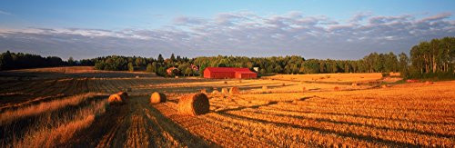 Posterazzi Hay bales in a field Flen Sodermanland County Sweden Poster Print, (6 x 18)