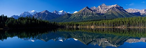Reflection of mountains in Herbert Lake Banff National Park Alberta Canada Poster Print (6 x 18)