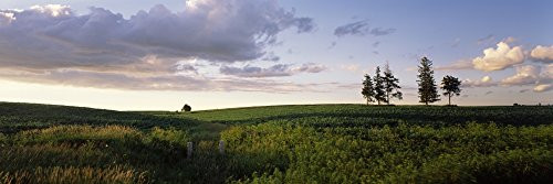 Posterazzi Clouds over a landscape Iowa County Wisconsin USA Poster Print, (6 x 18)