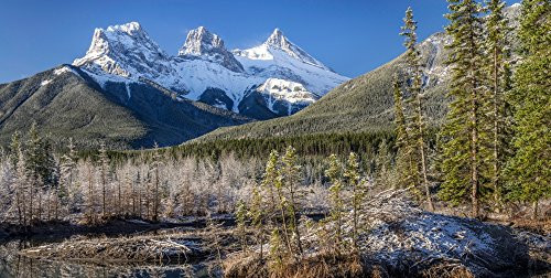 Posterazzi View of trees with snowcapped mountains Policeman's Creek Beaverlodge Three Sisters Canmore Alberta Canada Poster Print, (12 x 24)