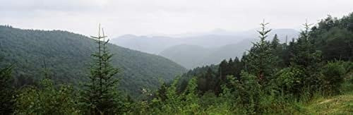 Posterazzi High angle view fog Smoky Mountains North Carolina USA Poster Print, (6 x 18) Posterazzi High angle view fog Smoky Mountains North Carolina USA Poster Print, (6 x 18)