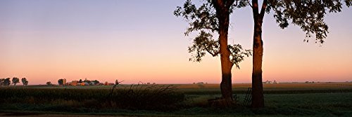 Posterazzi Trees in a farm at dusk Ogle County Illinois USA Poster Print, (6 x 18)