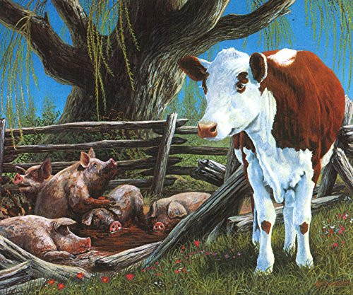 Posterazzi Amoozed Poster Print by John Bindon, (13 x 6)