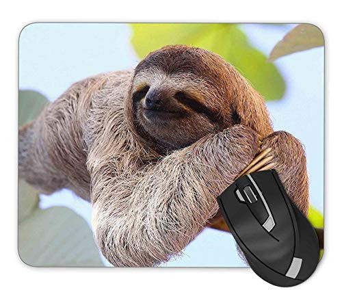 Sloth Mouse pad Gaming Mouse pad Mousepad Nonslip Rubber Backing
